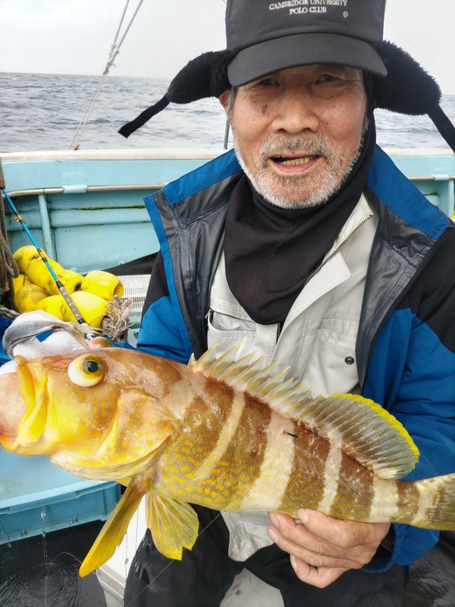 アオハタ