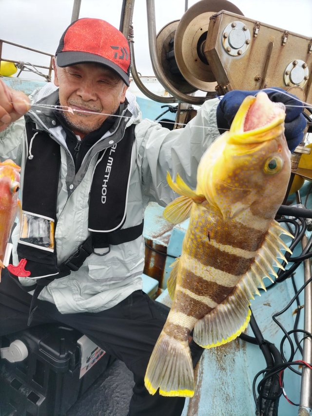 アオハタ