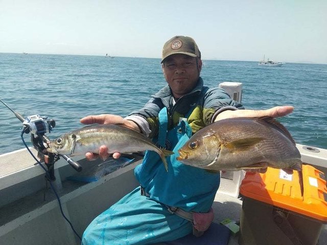 アジ(マアジ)・イサキ