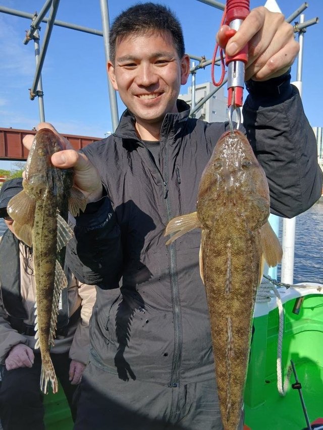 マゴチの釣果写真