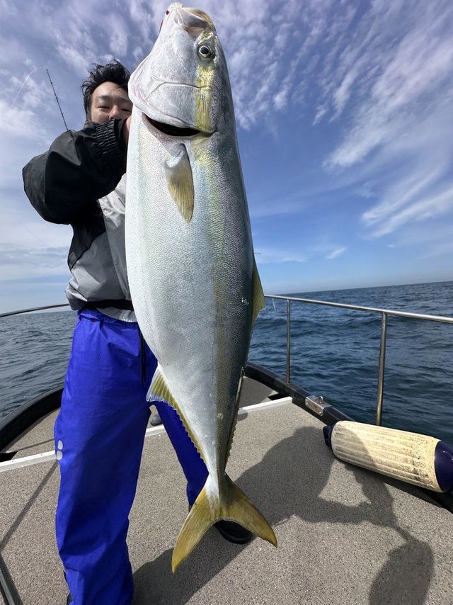 ヒラマサ