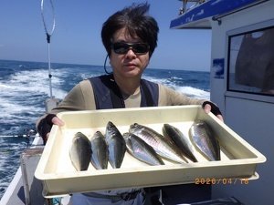 アジ(マアジ)