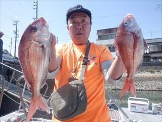 マダイ
