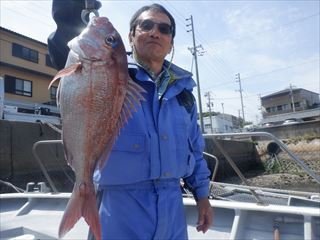 マダイ