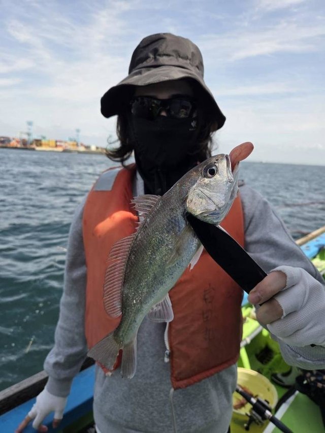 イシモチ(シログチ)