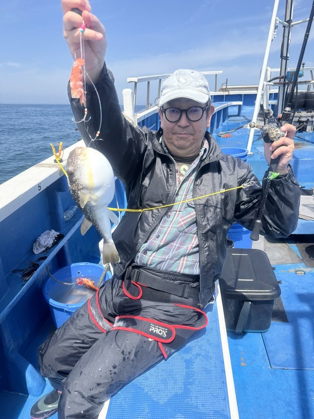 フグ(ショウサイフグ)