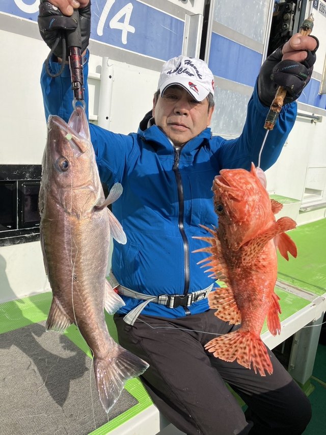 アラ・オニカサゴ