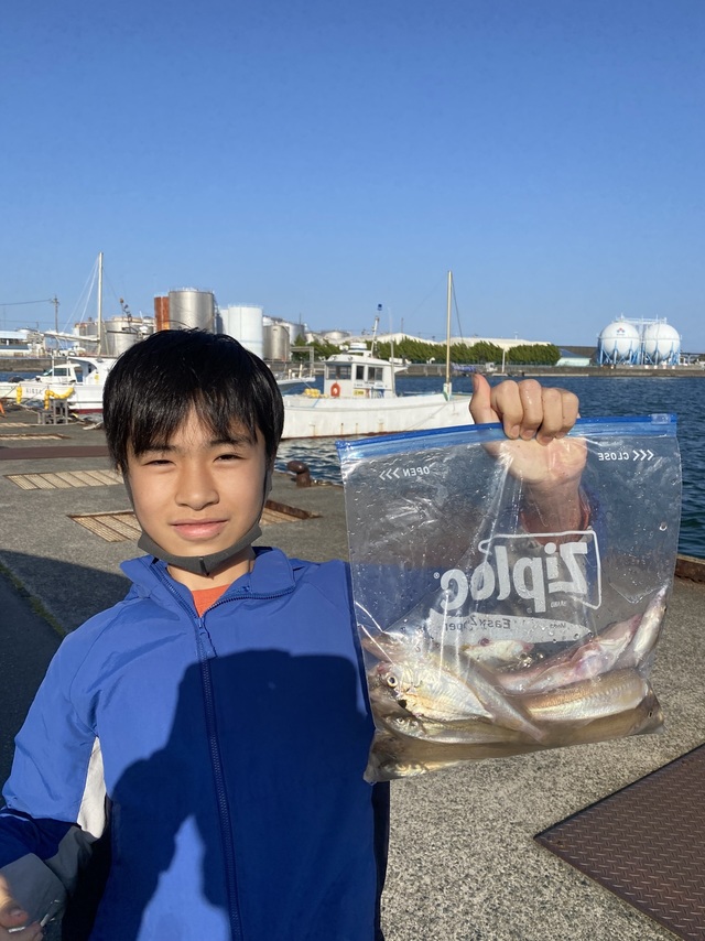 シロギス