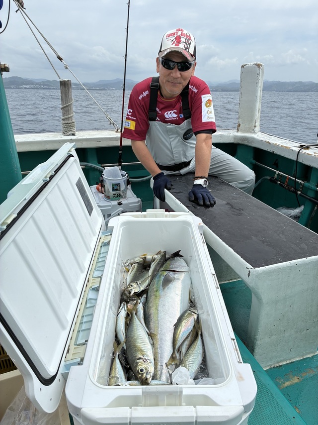 マアジ・メジロ(ブリ)