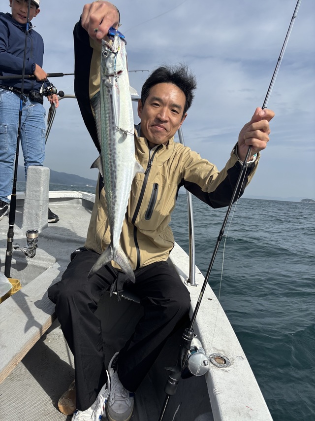 サゴシ(サワラ)