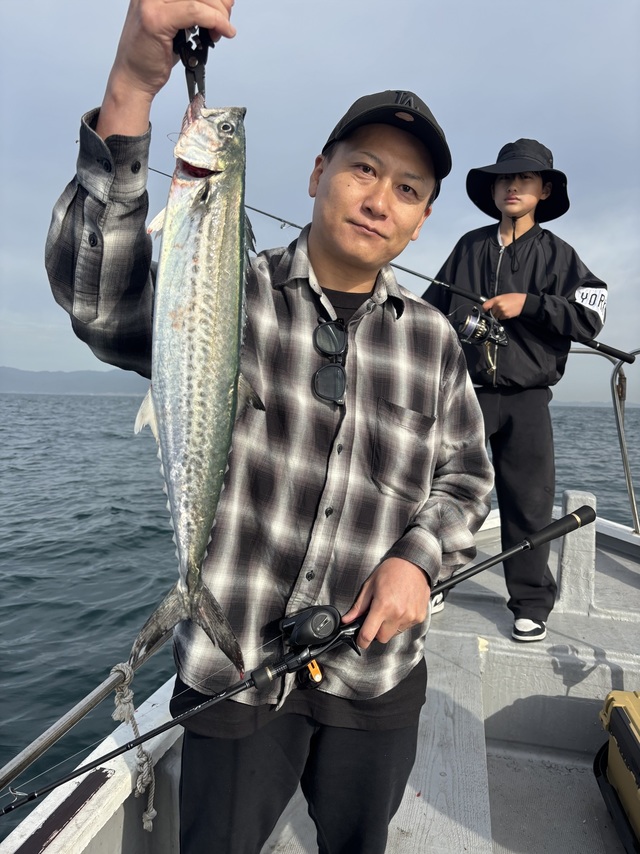 サゴシ(サワラ)