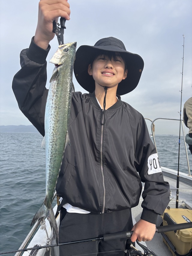 サゴシ(サワラ)