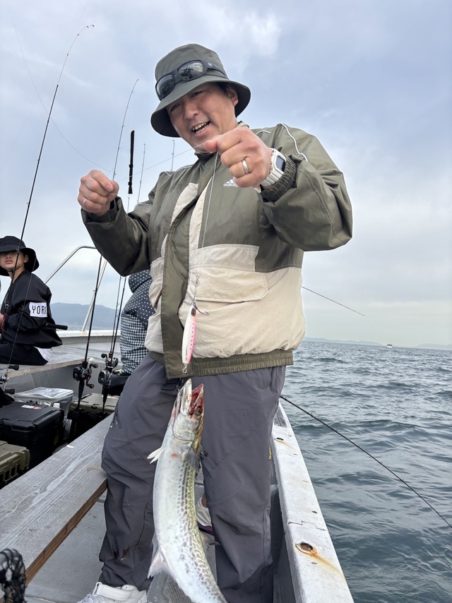 サゴシ(サワラ)