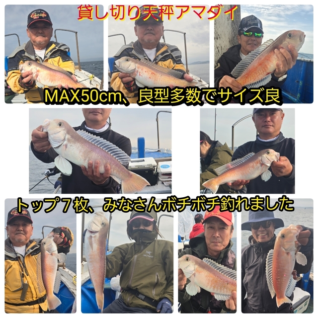 シロアマダイ