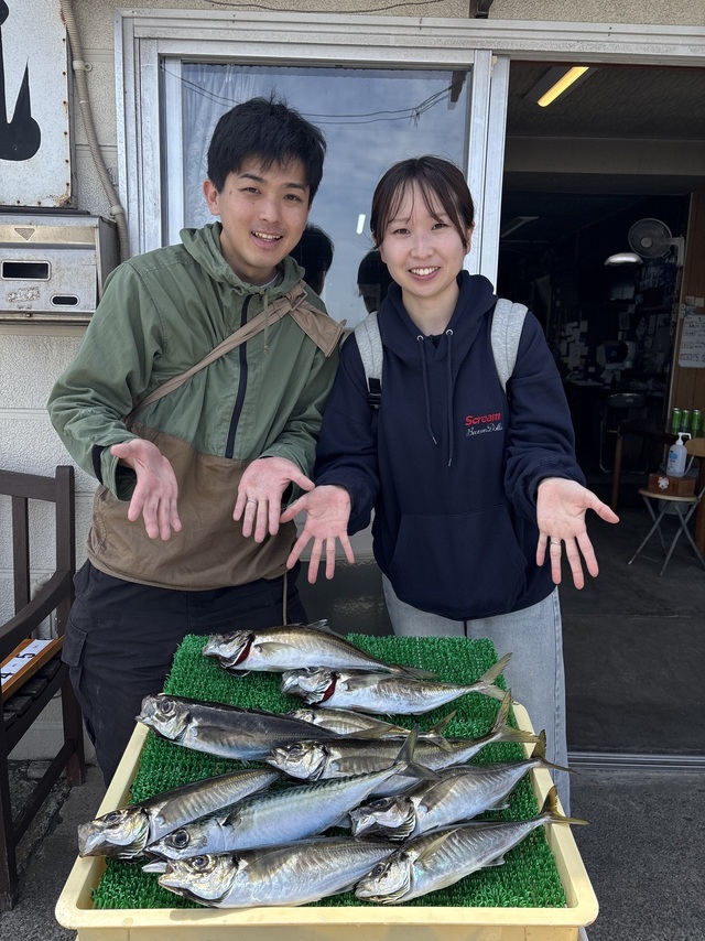 アジ(マアジ)