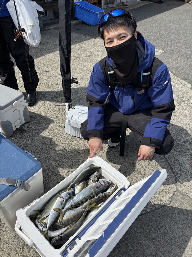 アジ(マアジ)