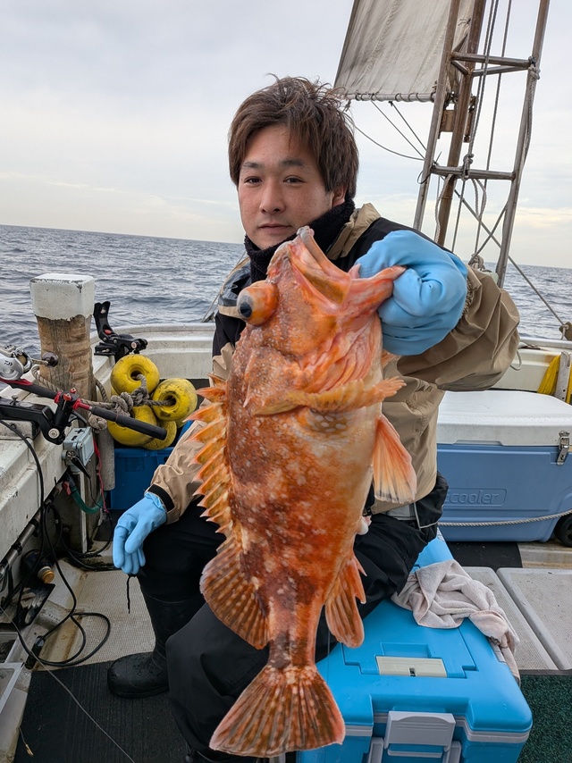 アラカブ(カサゴ)