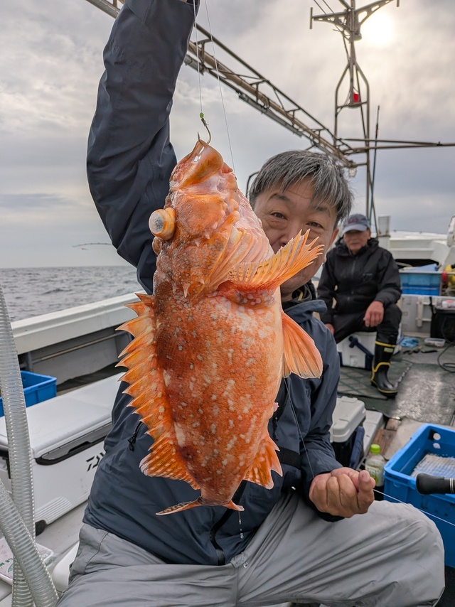 アラカブ(カサゴ)