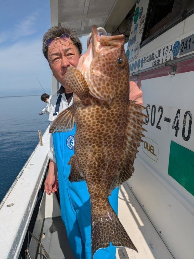 オオモンハタ