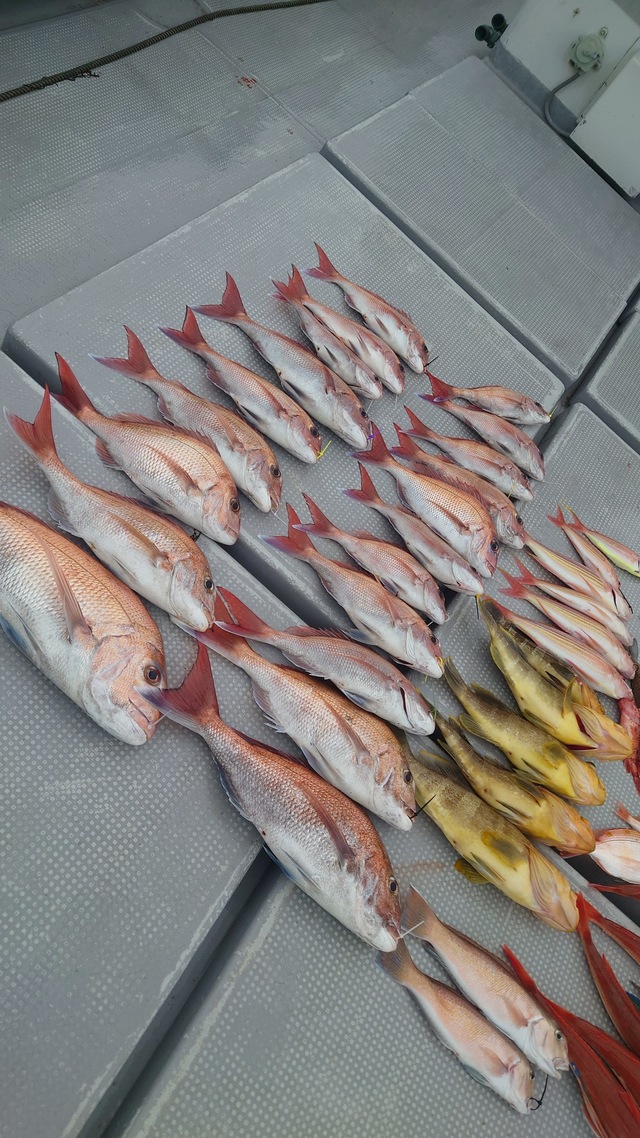 マダイ・アオナ(アオハタ)・アマダイ(アカアマダイ)