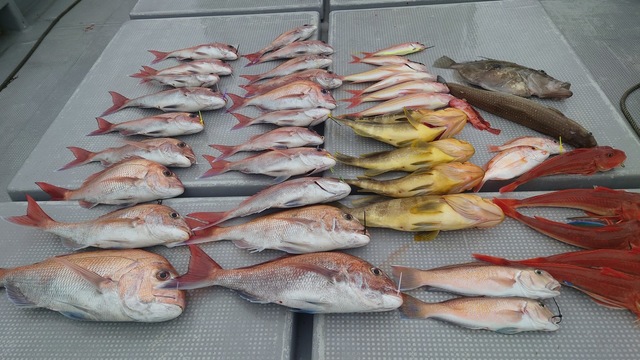 マダイ・アオナ(アオハタ)・アマダイ(アカアマダイ)