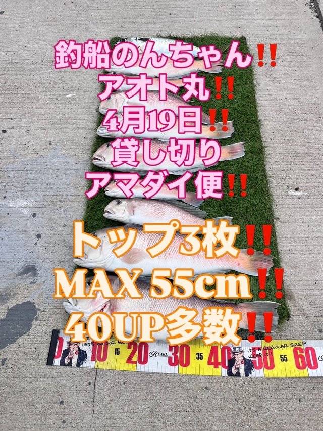 シロアマダイ