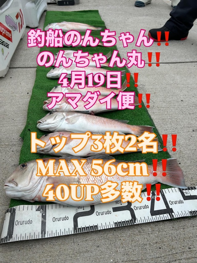 シロアマダイ