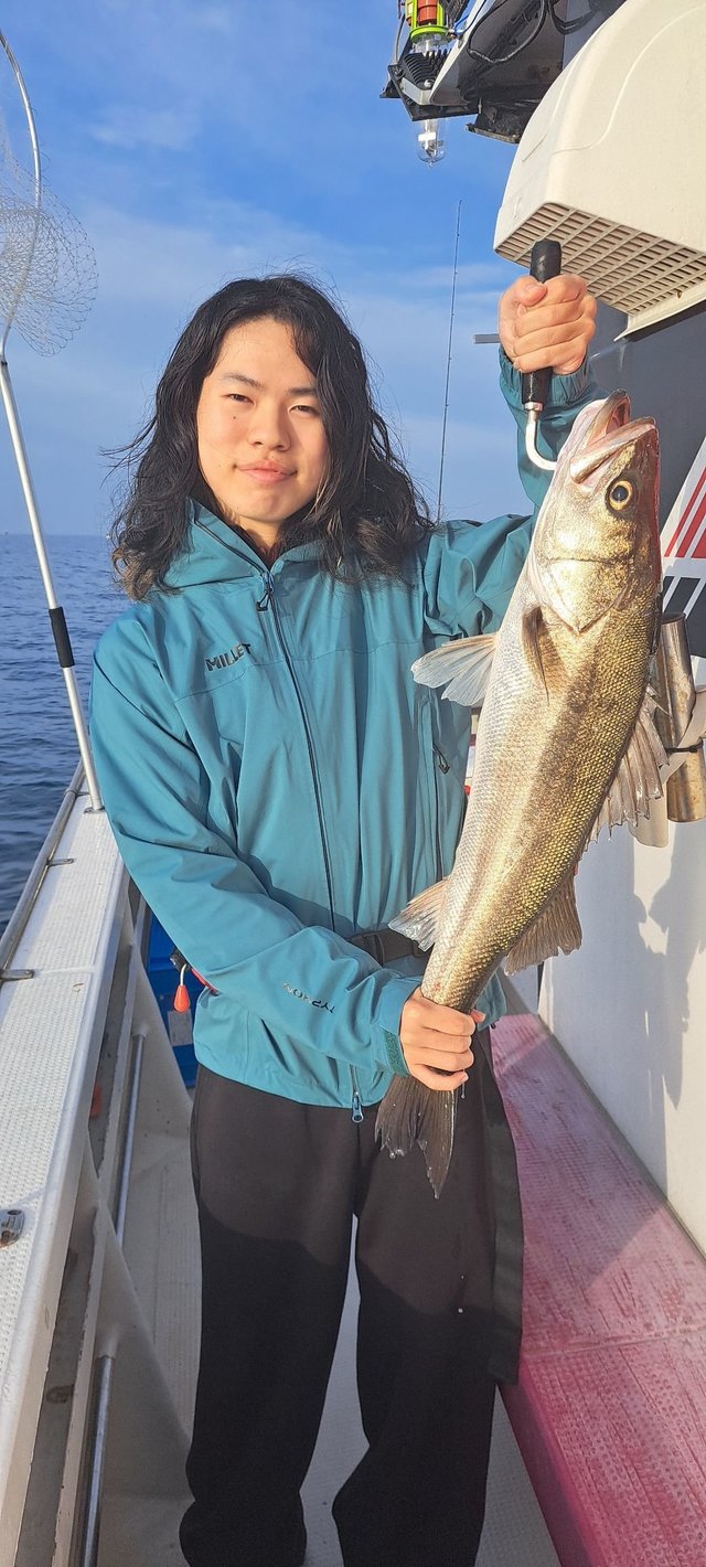 シーバス(スズキ)