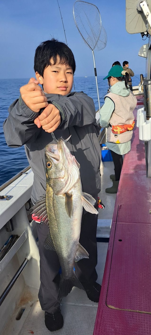 シーバス(スズキ)