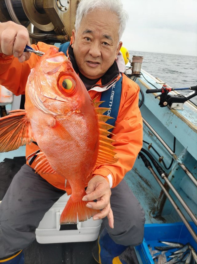 チカメ(チカメキントキ)