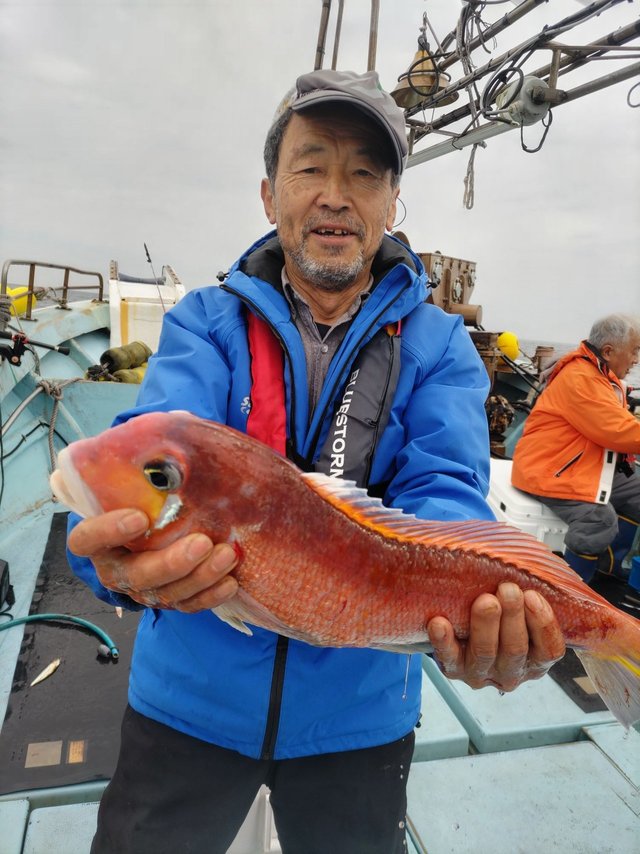 アマダイ(アカアマダイ)