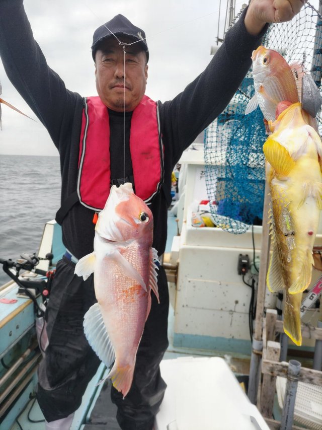 アオハタ・アマダイ(アカアマダイ)