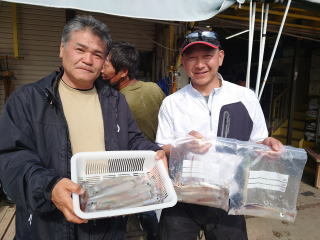 マルイカ(ケンサキイカ)・ムギイカ(スルメイカ)