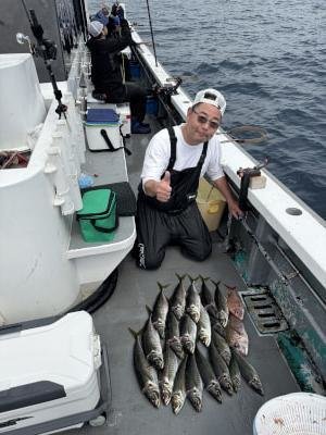 マダイ・マアジ