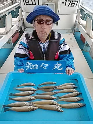 キス(シロギス)