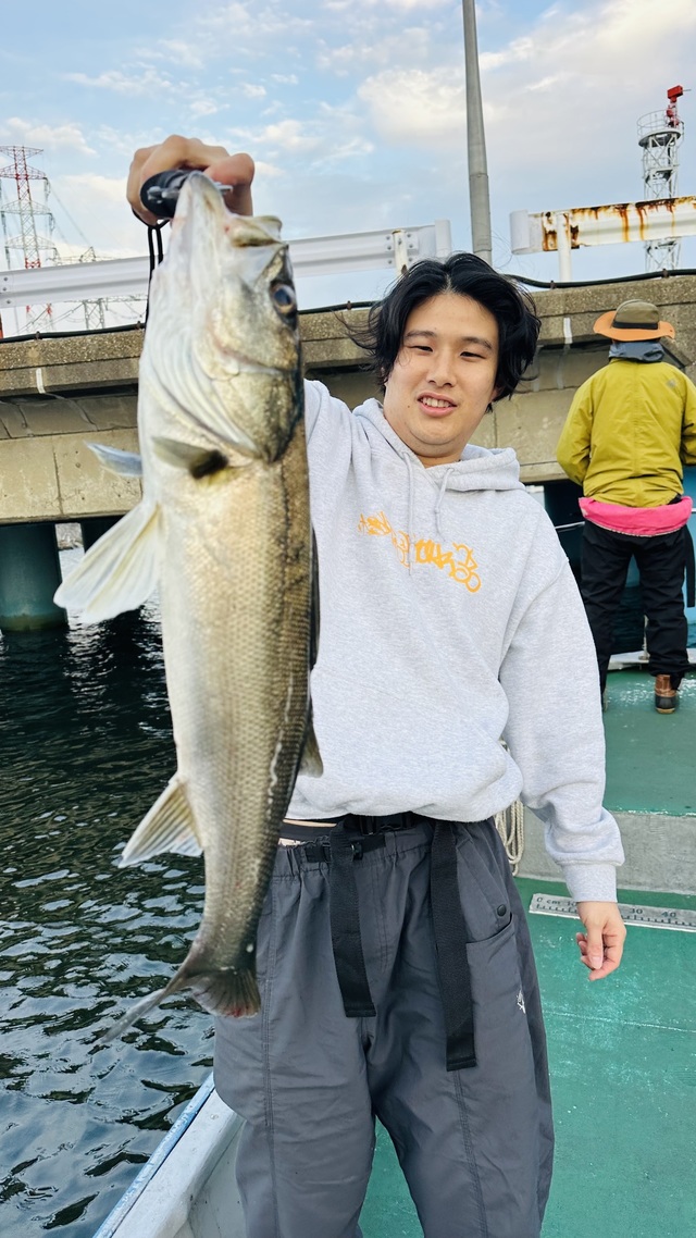 シーバス(スズキ)