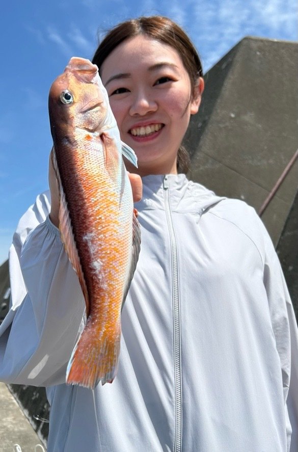 シロアマダイ