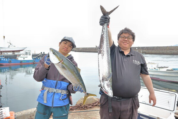 メジロ(ブリ)・サワラ