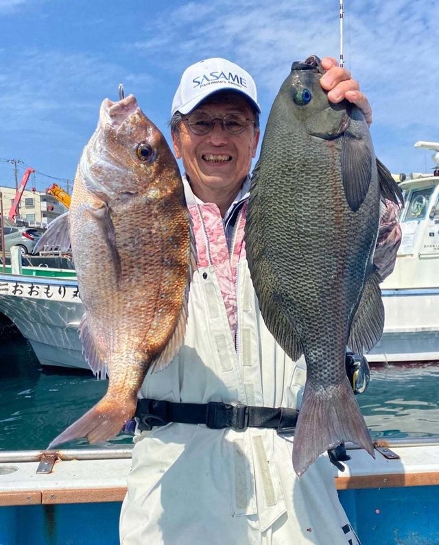 マダイ・グレ(メジナ)