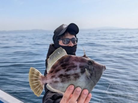 カワハギ