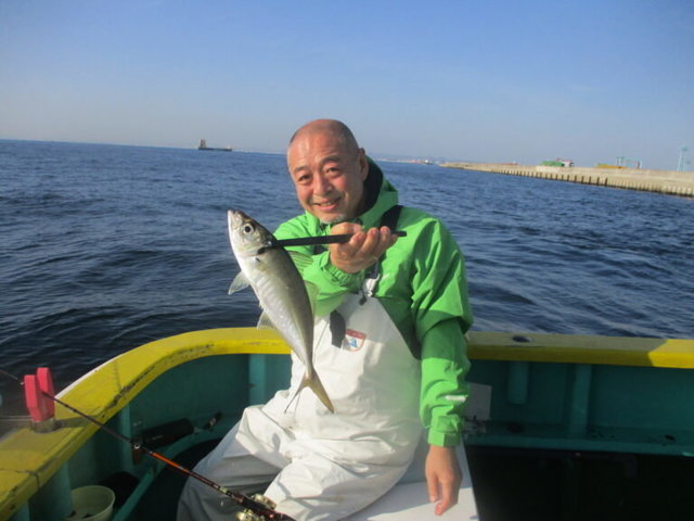 アジ(マアジ)