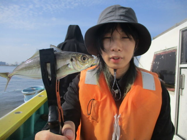 アジ(マアジ)