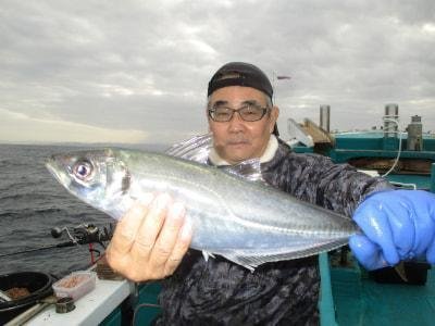 アジ(マアジ)