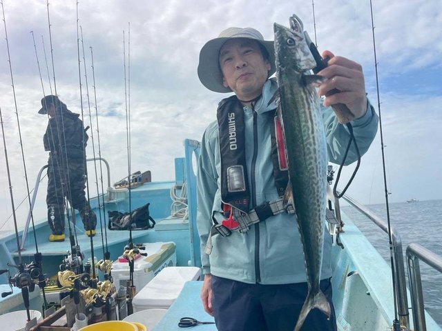 サゴシ(サワラ)