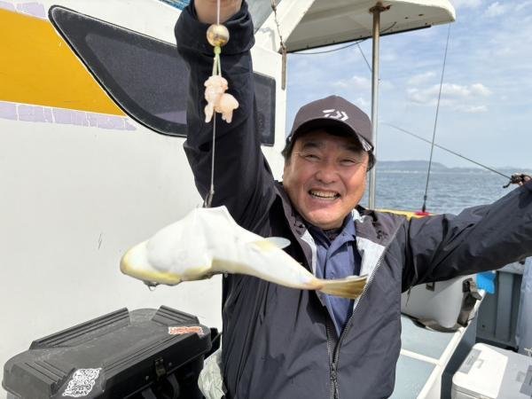 ショウサイフグ