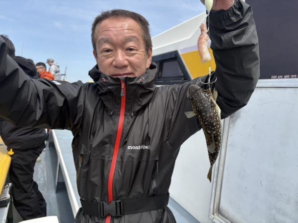 ショウサイフグ