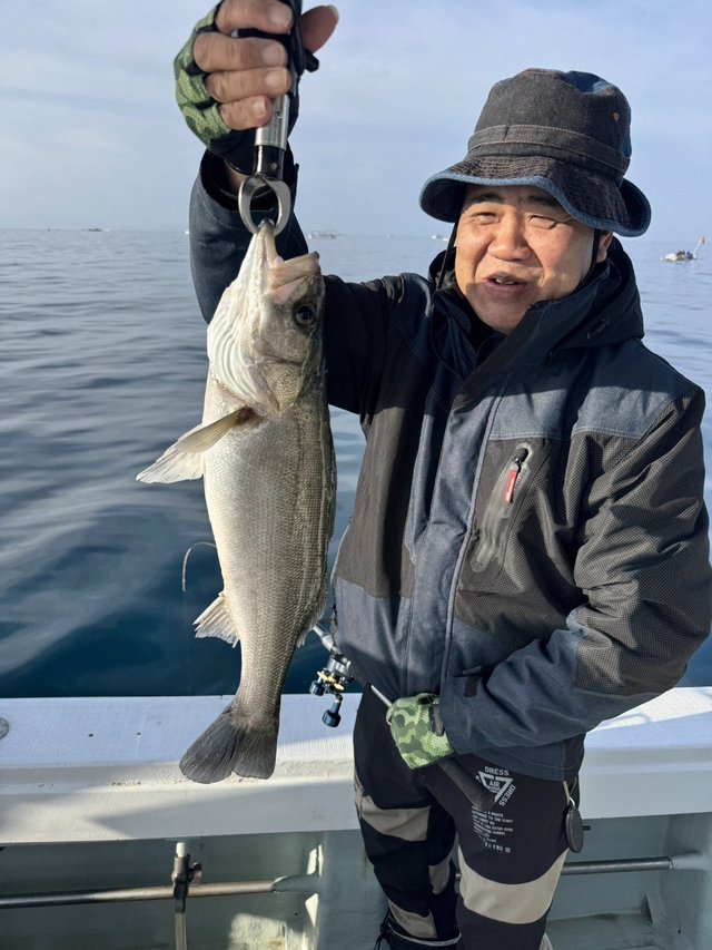 シーバス(スズキ)