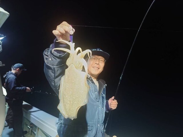 アオリイカ