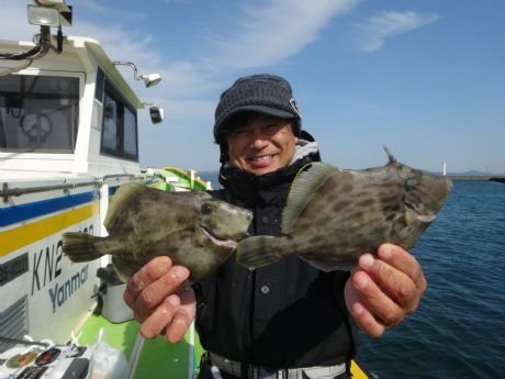 カワハギ