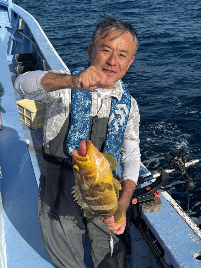 アオハタ